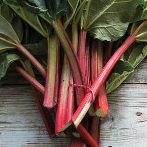 Van Zyverden 5ct Roots Rhubarb Victoria - 1 of 4