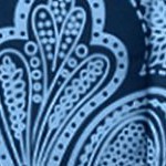 paisley navy