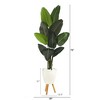 Nearly Natural 6-ft Traveler's Palm Artificial tree in White Planter with Stand - 2 of 4
