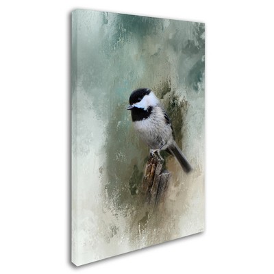 Trademark Fine Art -Jai Johnson 'Winter Chickadee' Canvas Art