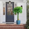 KTMBDW Ceramic Plant Pots, Planter Pot with Drainage Hole, Flower Pots for Indoor Outdoor Plants, Set of 3 - 2 of 4
