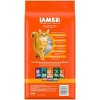 IAMS Proactive Health with Chicken Adult Premium Dry Cat Food - image 3 of 4