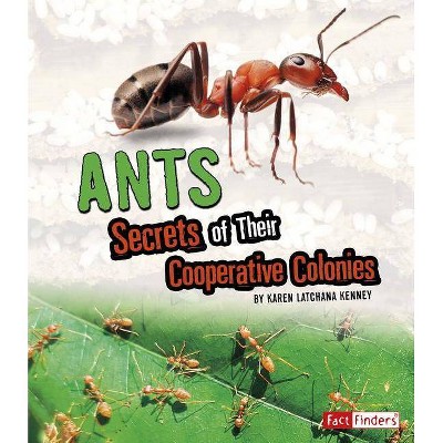 Ants - (Amazing Animal Colonies) by  Karen Latchana Kenney (Paperback)