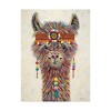 Trademark Fine Art -Carolee Vitaletti 'Hippie Llama Ii' Canvas Art - 2 of 4