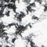 ivory/grey