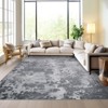Abstract Machine Washable Rug with Non Slip Backing Ultra-Thin Non Shedding Stain Resistant Indoor Carpet for Living Room Bedroom Dining Room - 3 of 4