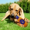 MLB Chicago Cubs Bottle Pets Toy - image 3 of 3