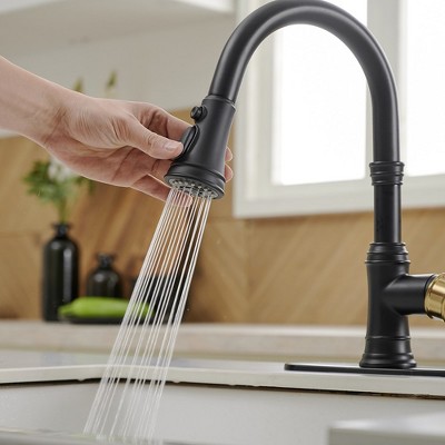 Matte Black and Gold Single-Handle Pull-Down Kitchen Faucet