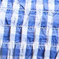Blue Gingham