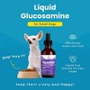 Liquid Glucosamine for Small Dogs, 260mg Glucosamine Liquid for Joint Supplement Mobility & Comfort, Easy-to-Use Liquid MSM & Chondroitin, 2 oz - 4 of 4