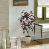 34" Black Plum Leaf Potted Artificial Fall Mini Tree - Hearth & Hand™ with Magnolia - 2 of 3