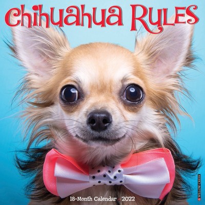 2022 Wall Calendar Chihuahua Rules - Willow Creek Press