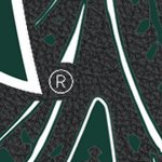 michigan state spartans