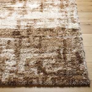 Hauteloom Skah Brown Shag Rug - 1 of 4