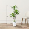 Artificial Tree in Pot with Realistic Leaves & Natural Wood Trunk 5FT/6FT/7FT/8FT - 2 of 4
