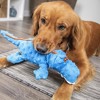Bellura Pet - Squeaky Plush Dog Toy - Blue - 3 of 4