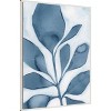 Amanti Art Blue Weed I by Grace Popp Framed Canvas Wall Art - 3 of 4