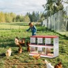 BENCMATE Pet Crates and Houses 6 Houses Dual Chamber Poultry Nesting Box for Hens and Ducks, Secure Egg Laying Sanctuary, Red, 35.43"*14.17"*6.69" - 2 of 4