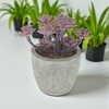 Unique Bargains Artificial Plants Family in Mini Pulp Plastic Green 3.35"x3.35"x3.94" 1 Pc - 2 of 4