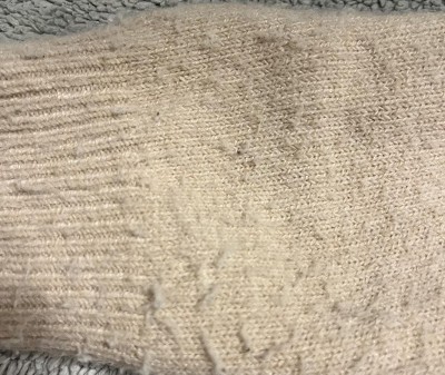 Guest review image 1 of 2, zoom in