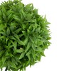 Northlight Set of 3 Solar Lighted Artificial Eugenia Topiary Balls, Warm White Lights - 2 of 4