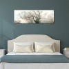 Panoramic Octopus Ghost Oak by Philippe Manguin Unframed Wall Canvas - iCanvas - 2 of 4