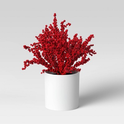 Plant Red Berry - Threshold™