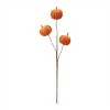 Plush Fall Pumpkin Spray (Set of 2) - 3 of 4