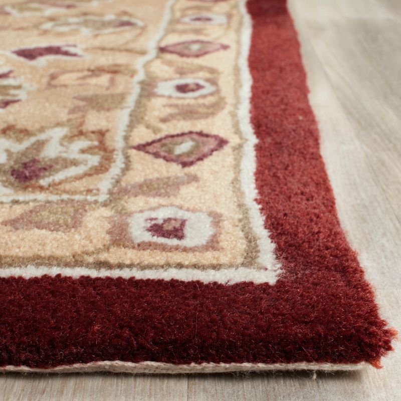 Total Performance TLP721 Hand Hooked Area Rug  - Safavieh, 2 of 3
