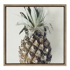 Kate and Laurel Sylvie Solo Pineapple Framed Canvas by F2 Images, 22x22, Gold - 2 of 4