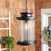 Queren Outdoor Pendant - Black - Safavieh. - image 4 of 4