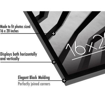 Black 16x20 Slim Frame with Polished Plexiglass