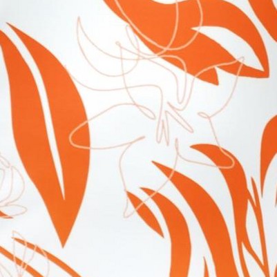 orange abstract petal