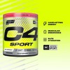 Cellucor C4 Sport Pre-Workout - Watermelon - 8.7oz/20 Servings - 3 of 4