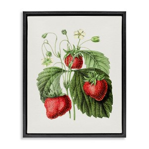 Stupell Industries Vintage Strawberries Study, 25" x 31" - 1 of 4