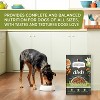 Rachael Ray Nutrish Dish Chicken, Vegetable, Fruit & Brown Rice Dry Dog Food - 3 of 4