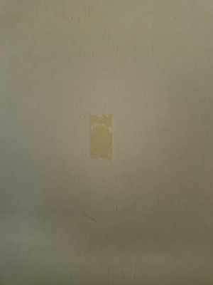 Guest review image 2 of 2, zoom in