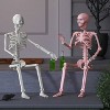 36" Poseable Skeleton Halloween Decorative Prop Iridescent - Hyde and EEK! Boutique™ - 2 of 3