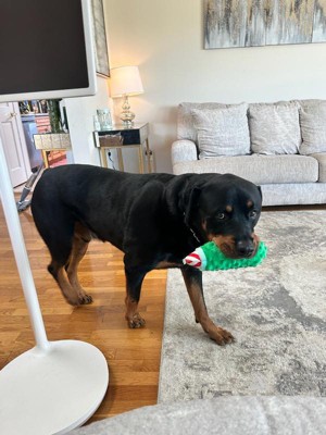 Guest review image 1 of 3, zoom in