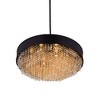 CWI Lighting Medina 10 Light Drum Shade Chandelier With Black Finish - 2 of 4