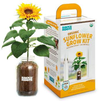 Back to the Roots Organic Sunflower Grow Kit