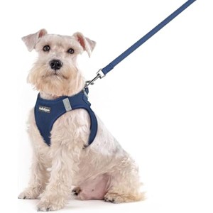 rabbitgoo Dog Harness Small Sized and Leash Set, Breathable Mesh Pet Harness, Reflective for Outdoor Safe Walking, Navy Blue XXL - 1 of 1