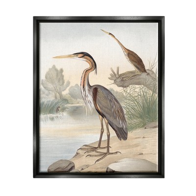 Stupell Industries Wild Heron Birds Perched Scenic Grassy CreekFloater Canvas Wall Art