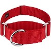 Country Brook Petz HossFit Jr Wide Martingale Dog Collar - Training Collar with No Buckle - Vibrant, Colorful Collection - 2 of 4