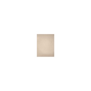 LUX 105 lb. Cardstock Paper 8.5" x 11" Metallic 50 Sheets/Pack (81211-C-M09-50) - 1 of 1