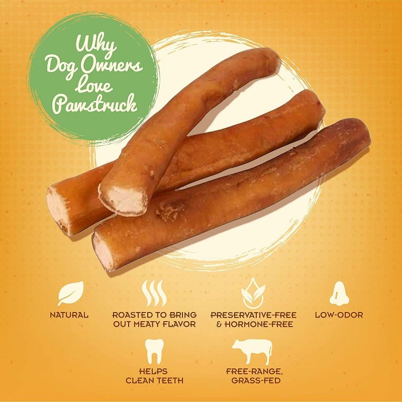 Pawstruck All Natural 1-4" Bully Stick Bites for Small Dogs - Single Ingredient Digestible Rawhide Alternative Dental Chews, 5 of 9