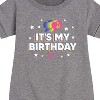 Girls' - Barbie - It's My Birthday Graphic Short Sleeve Fleece Dress - 2 of 4