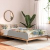 Deny Designs Clara McAllister Geranium Moths Comforter and Sham Set - 2 of 4