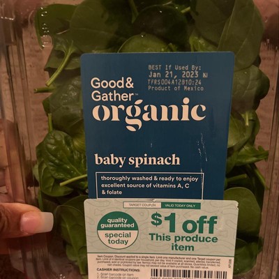 Target organic hot sale baby