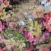 Springcrest 13" Top x 15" Bottom x 11" High x 11" Slant Print Lamp Shade Replacement Medium Drum Round Floral Velvet Flowers Spider Harp Finial - 2 of 4